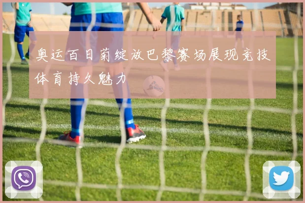 奥运百日菊绽放巴黎赛场展现竞技体育持久魅力