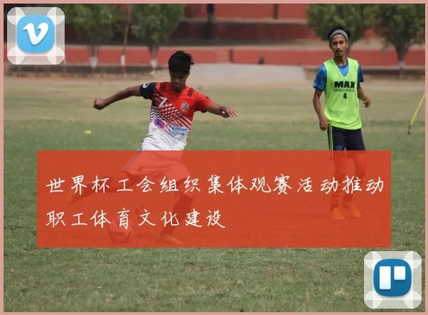 世界杯工会组织集体观赛活动推动职工体育文化建设