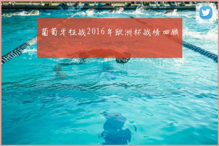 葡萄牙征战2016年欧洲杯战绩回顾