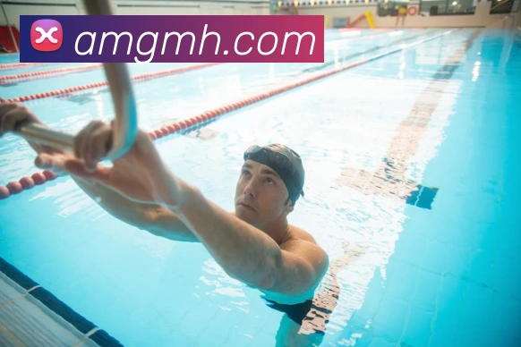 bsports官网首页平台生态图