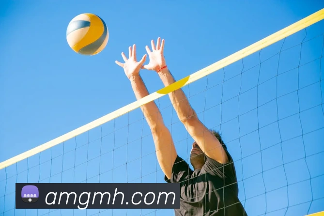 辅助工具 辅助工具